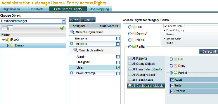Dashboard widget access rights